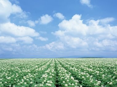 Japan-Hokkaido-Landscape-JF115_350A