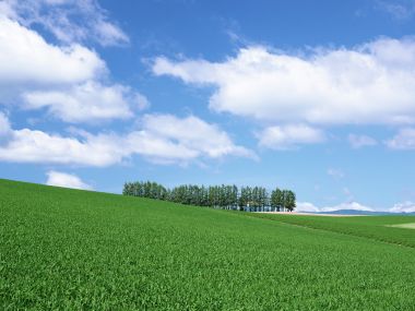 Japan-Hokkaido-Landscape-JF117_350A