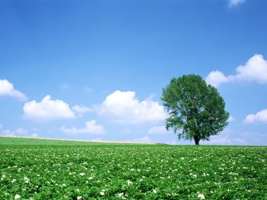 Japan-Hokkaido-Landscape-JF118_350A