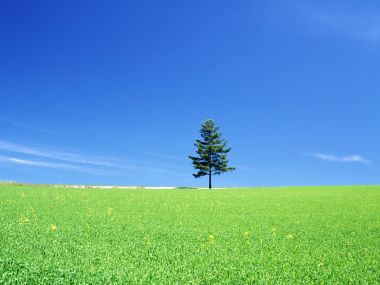 Japan-Hokkaido-Landscape-JF121_350A