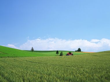 Japan-Hokkaido-Landscape-JF122_350A