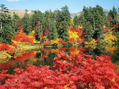 Japan-Hokkaido-Landscape-JF134_350A