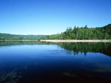 日本北海道森林湖泊涟漪