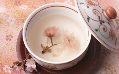 JW084_350A_Japanese_cherry_tea
