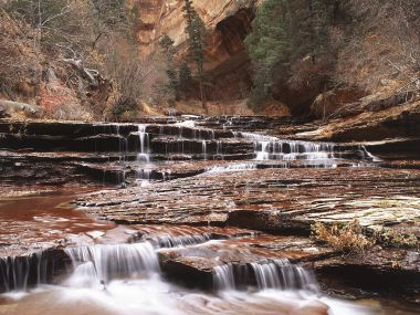Left_Fork_of_North_Creek_Zion_National_Park_Utah