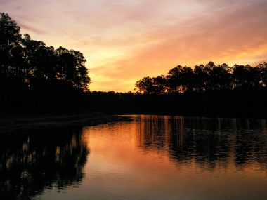 Long_Pine_Key_Everglades_National_Park_Florida