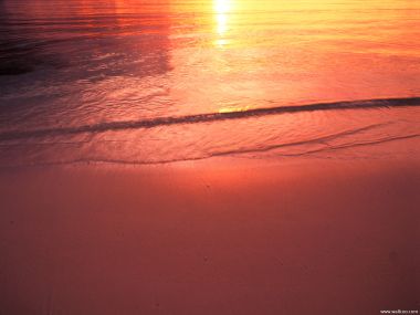 Maldives_Travel_01023