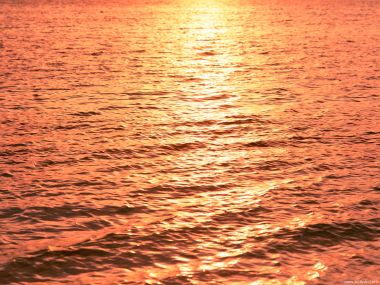 Maldives_Travel_01026
