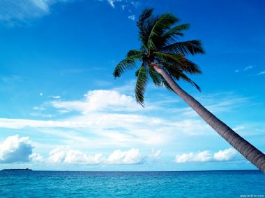 Maldives_Travel_02001