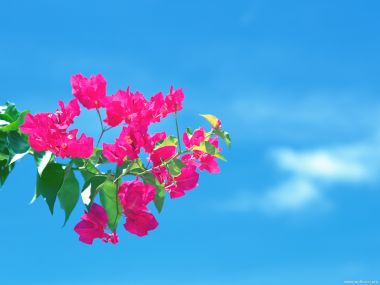 Maldives_Travel_03003