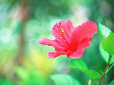 Maldives_Travel_03004