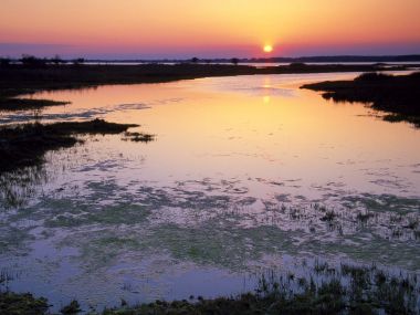 Marshlands_Sunset_Assateague_Island_Maryland