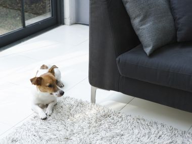 Modern_Lifestyle_Interiors_HL198