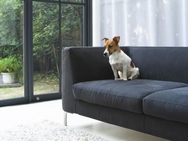 Modern_Lifestyle_Interiors_HL200