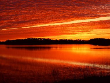 Nine_Mile_Pond_at_Sunrise_Everglades_Florida