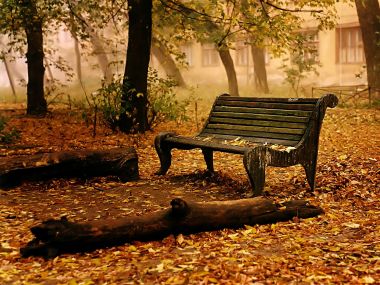 Old_Bench