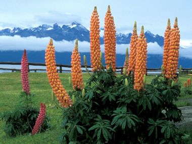 Patagonia_Argentina_hgoTJnbtQ5dk