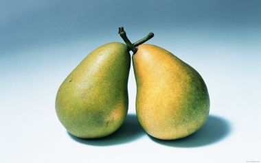 Pears, close-up