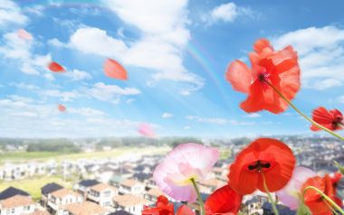 Photo manipulation of 01_Flower City 123_City_in_Future