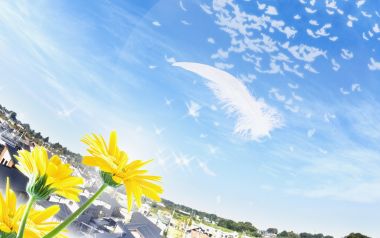 Photo manipulation of 01_Flower City sky 125_City_in_Future