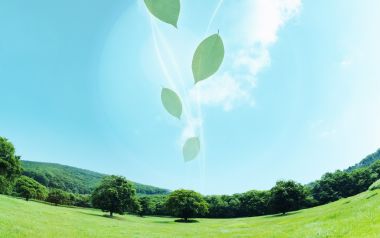 Photo manipulation of 01_Green and Sky 079_Greeny_Nature