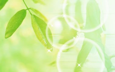 Photo manipulation of 01_Human and Green 067_Greeny_Nature
