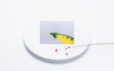 Photo_manipulation_of_Fruits_and_Vegetables_MIL05120