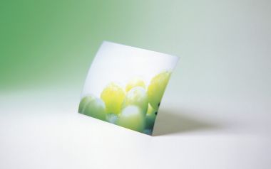 Photo_manipulation_of_Fruits_and_Vegetables_MIL05122
