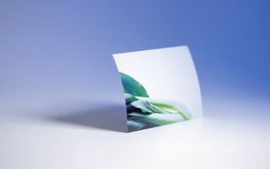 Photo_manipulation_of_Fruits_and_Vegetables_MIL05124