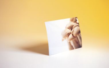Photo_manipulation_of_Fruits_and_Vegetables_MIL05125