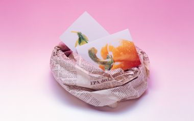 Photo_manipulation_of_Fruits_and_Vegetables_MIL05136