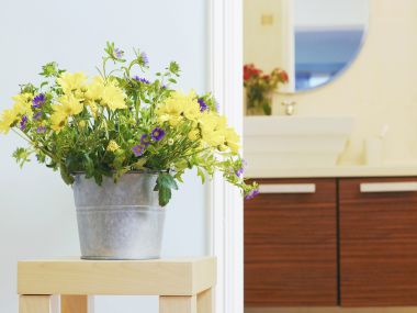 photograph_of_Bathroom_ispc045022