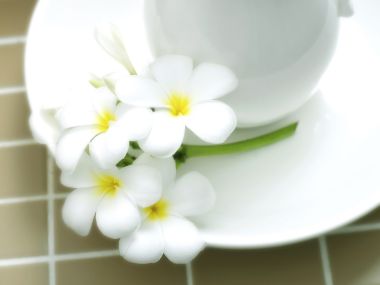 photograph_of_Bathroom_ispc045028