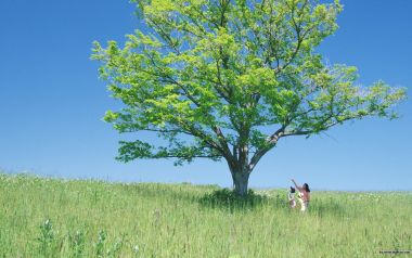 Photos Of People And Nature Jd011