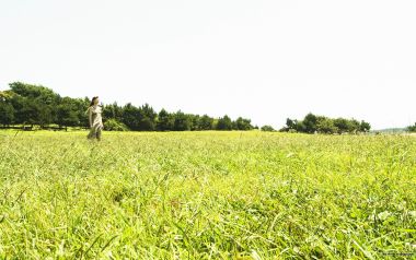 Photos Of People And Nature Jd109