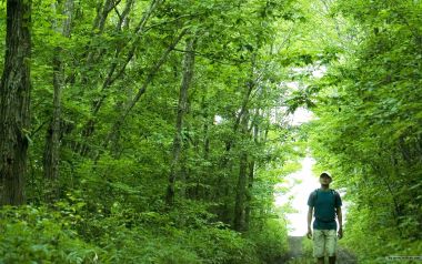 Photos Of People And Nature Jd111