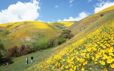 Photos Of People And Nature Wide Jd001 351a