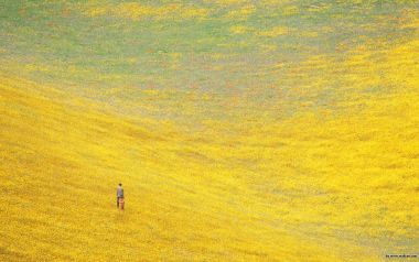 Photos Of People And Nature Wide Jd001 352a
