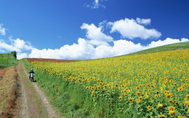 Photos Of People And Nature Wide Jd001 353a