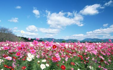 Photos Of People And Nature Wide Jd001 354a