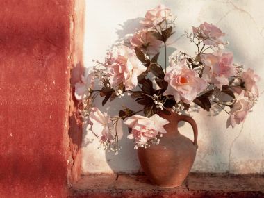 Pink_Roses