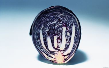Red cabbage cut in half, close-up