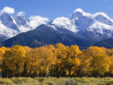 Rio_Grande_National_Forest_in_Autumn_Colorado