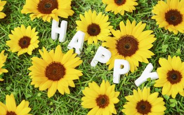 Romantic_Events_Flowers_photo_085