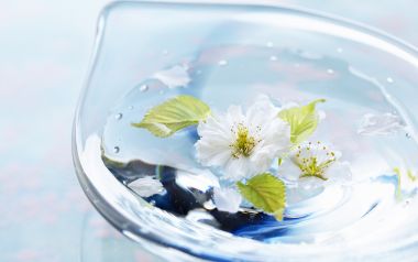 Romantic_Events_Flowers_photo_162