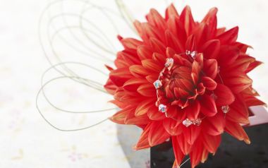 Romantic_Events_Flowers_photo_196