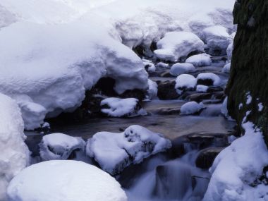 Snow_Winter_Scene_winter_snow_wallpapers_MIL50052_wallcoo.com