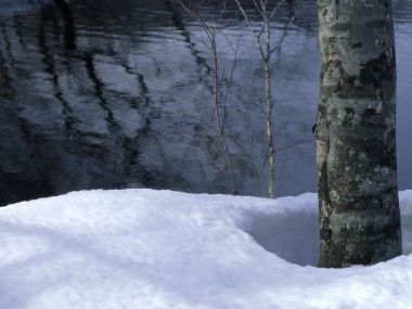 Snow_Winter_Scene_winter_snow_wallpapers_MIL50056_wallcoo.com