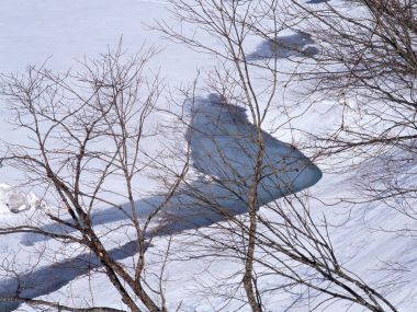Snow_Winter_Scene_winter_snow_wallpapers_MIL50061_wallcoo.com