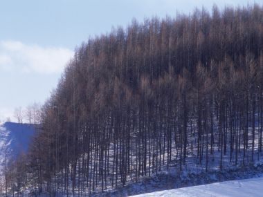 Snow_Winter_Scene_winter_snow_wallpapers_MIL50063_wallcoo.com